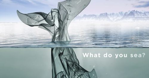 Council adopts single-use plastics directive